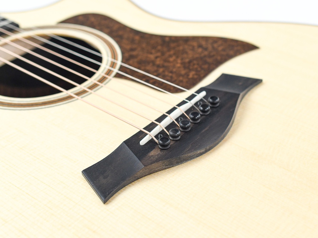 Taylor 714ce | The Fellowship of Acoustics